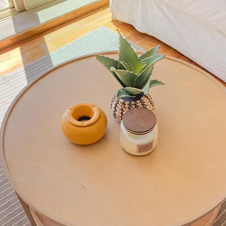 Ocean View Luxury Duplex Ovar